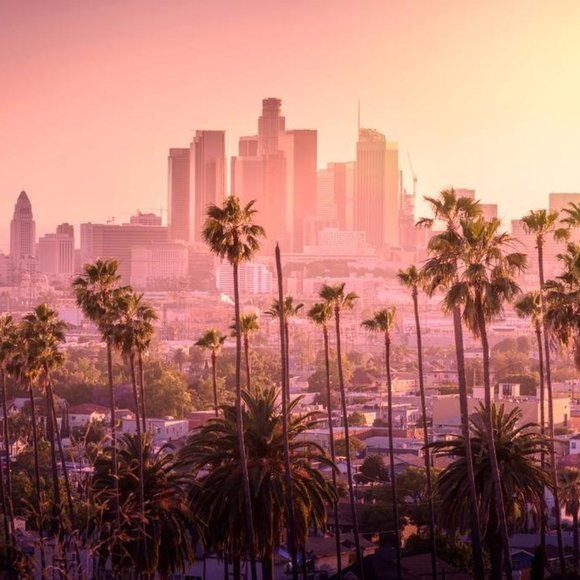 Meet your Posher, Posh Fits - Picture 1 of 1